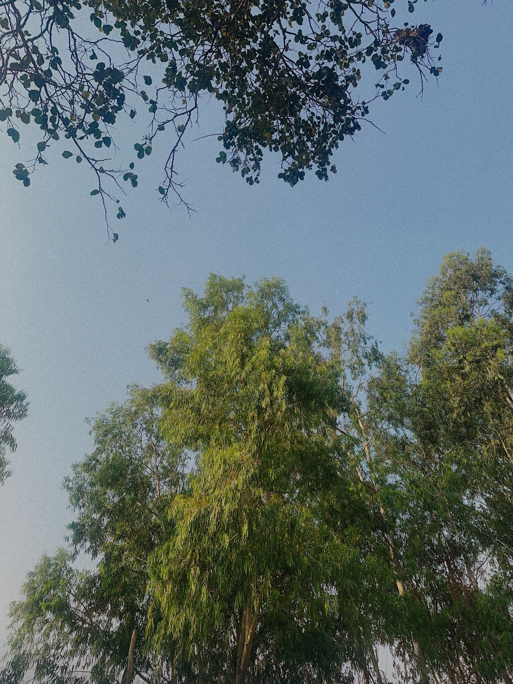 Photography capture